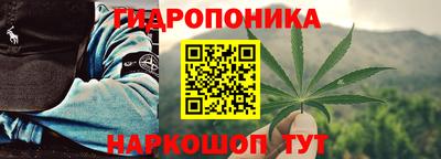 спиды Гагарин