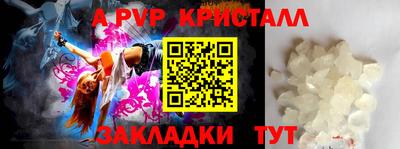 спиды Гагарин